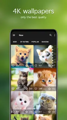 Cat Wallpapers & Cute Kittens android App screenshot 4